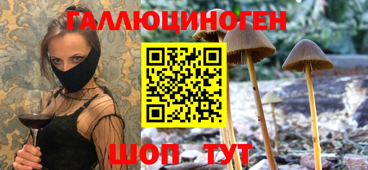 Псилоцибиновые грибы Magic Shrooms  Вход с VPN  Муравленко  Галлюциногенные грибы Psilocybine cubensis 
